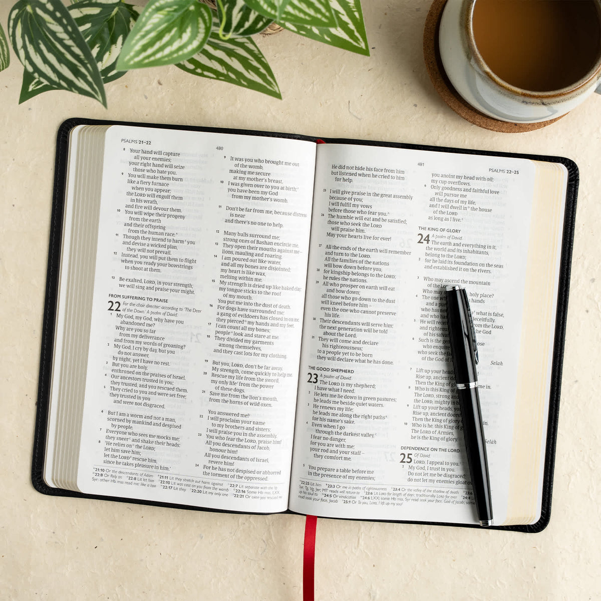 Thinline Bible (CSB) - Anglicised Edition by Broadman and Holman, product view 4