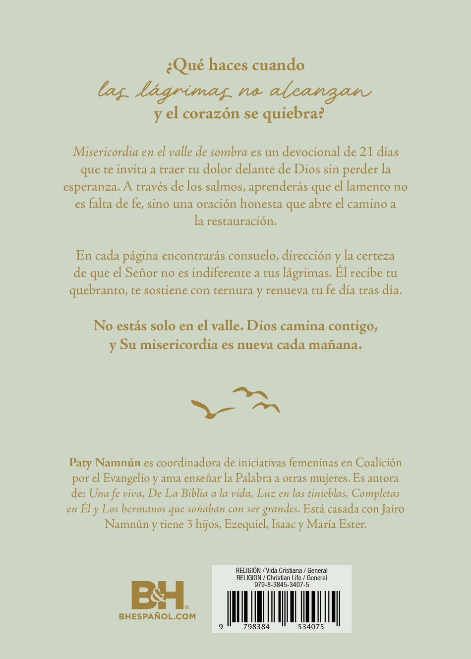 Misericordia en el valle de sombra: 21 días en Salmos de lamentos by Broadman and Holman, product view 2