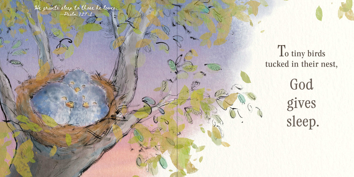 God Gives Sleep by Broadman and Holman, product view 3