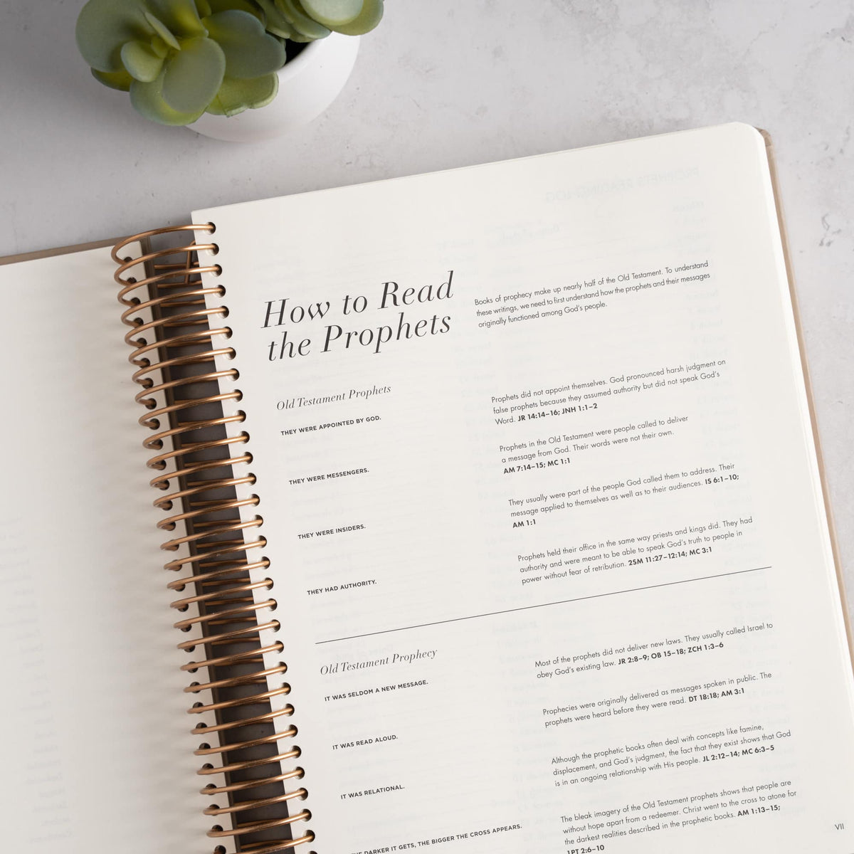 CSB She Reads Truth Spiral Bound Notetaking Bible, Prophets, Hardcover by Broadman and Holman, product view 5