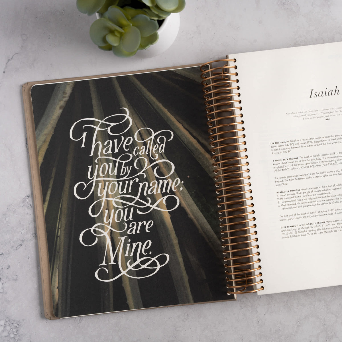 CSB She Reads Truth Spiral Bound Notetaking Bible, Prophets, Hardcover by Broadman and Holman, product view 6
