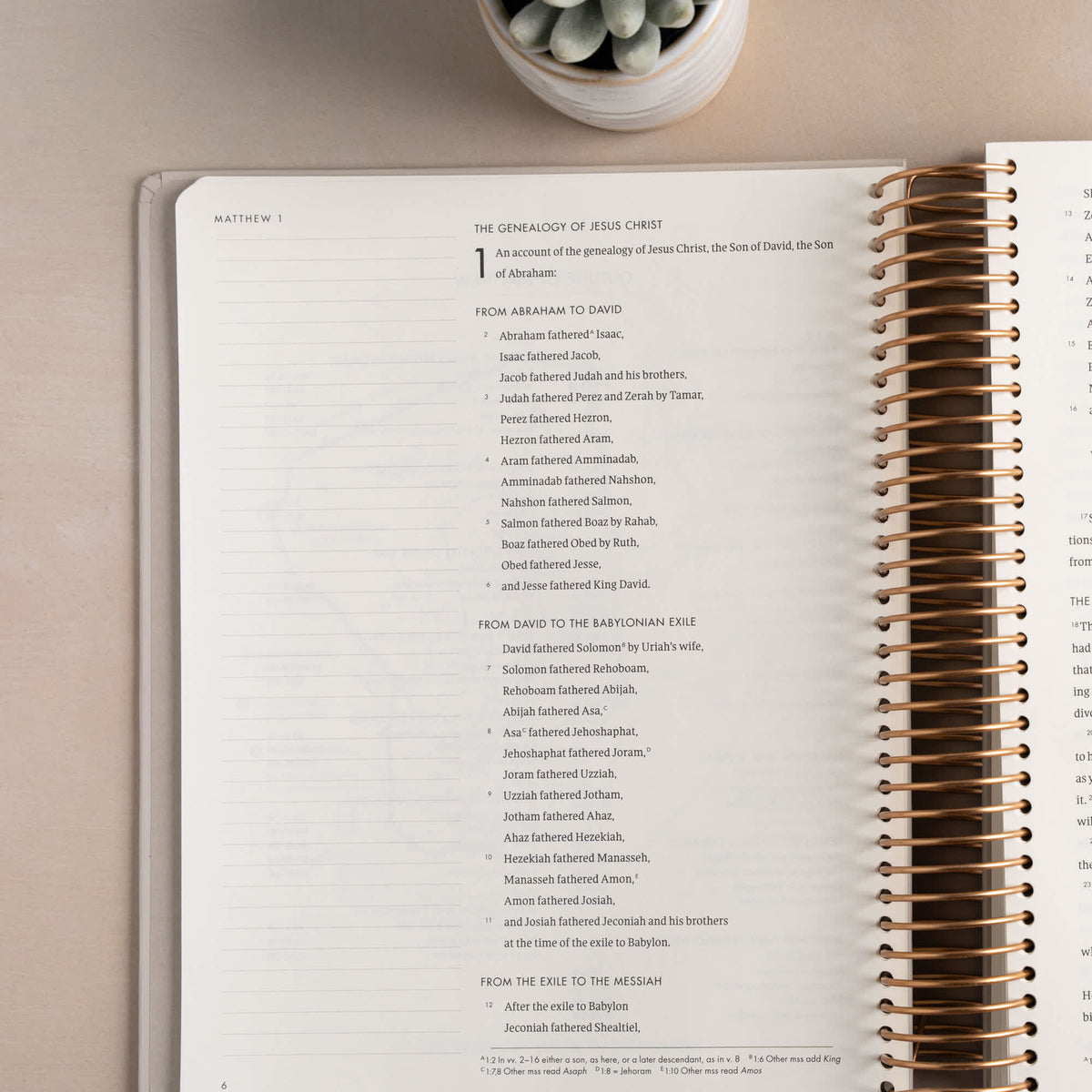 CSB She Reads Truth Spiral Bound Notetaking Bible, New Testament, Hardcover by Broadman and Holman, product view 6