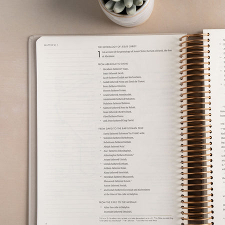 CSB She Reads Truth Spiral Bound Notetaking Bible, New Testament, Hardcover by Broadman and Holman, product view 6