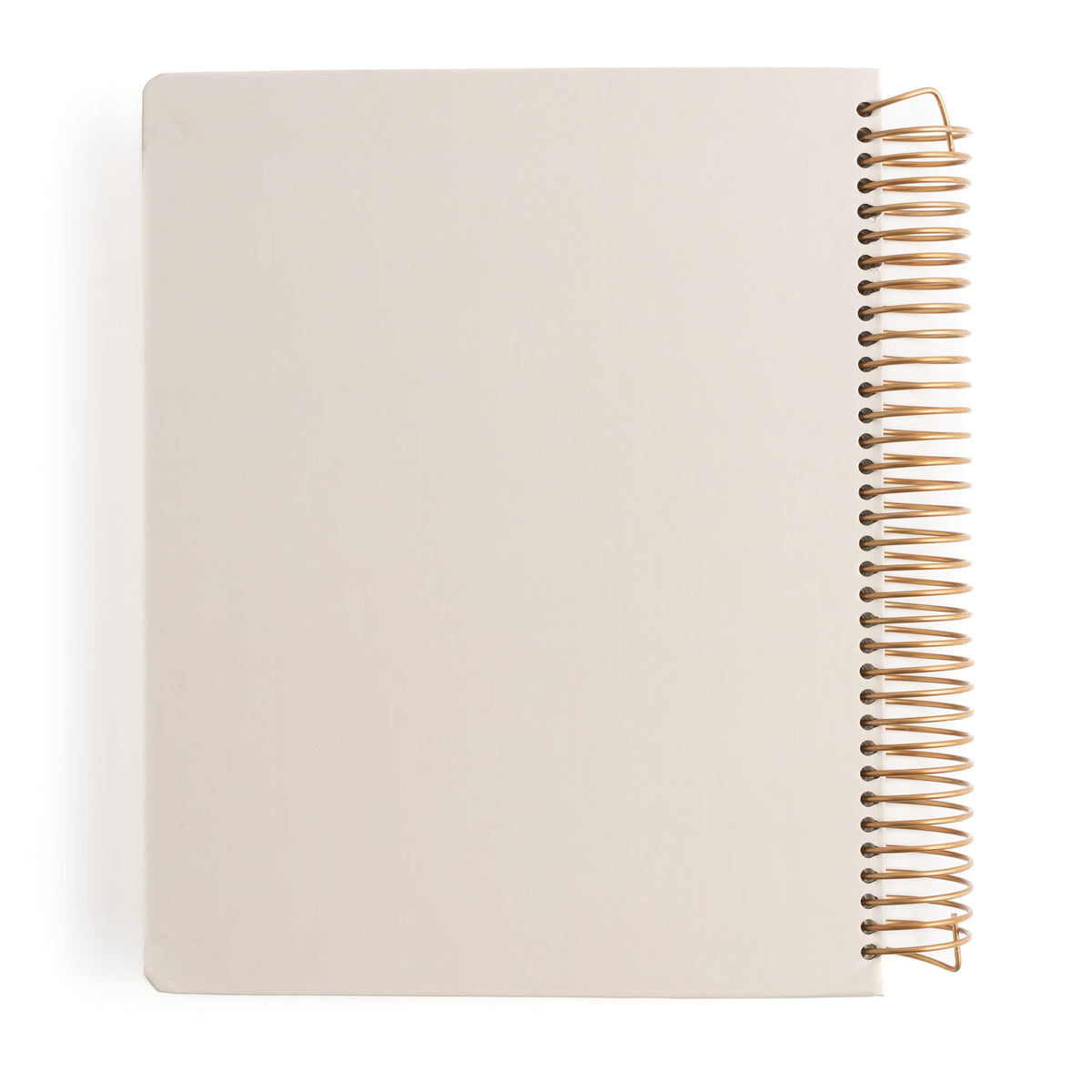 CSB She Reads Truth Spiral Bound Notetaking Bible, New Testament, Hardcover by Broadman and Holman, product view 7