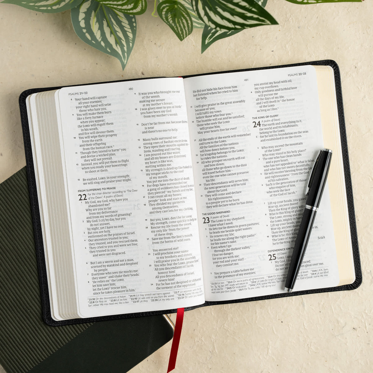 Thinline Bible (CSB) - Anglicised Edition by Broadman and Holman, product view 6