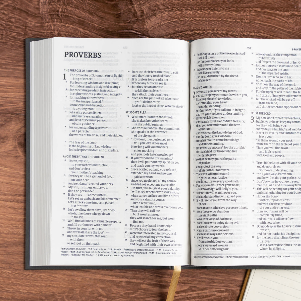 Church Pew Bible (CSB) by Broadman and Holman, product view 5