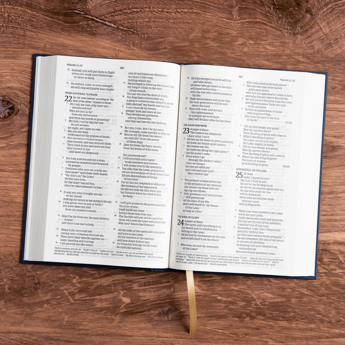 Church Pew Bible (CSB) by Broadman and Holman, product view 4