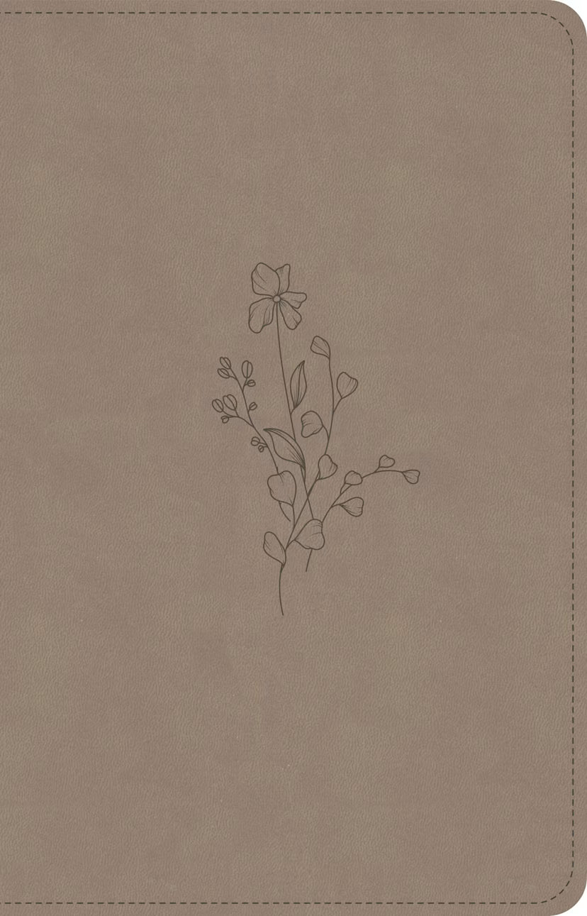 CSB Personal Size Bible, Digital Study Edition