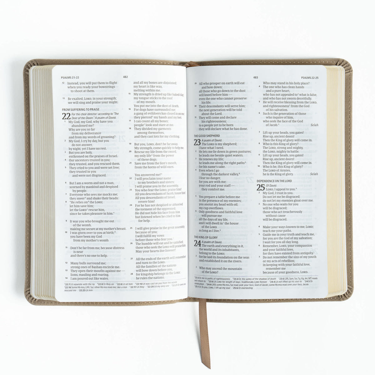 Personal Size Bible (CSB) - Digital Study Edition by Broadman and Holman, product view 4