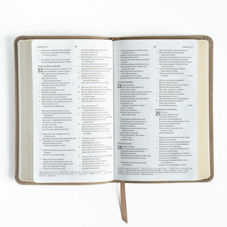Personal Size Bible (CSB) - Digital Study Edition by Broadman and Holman, product view 4