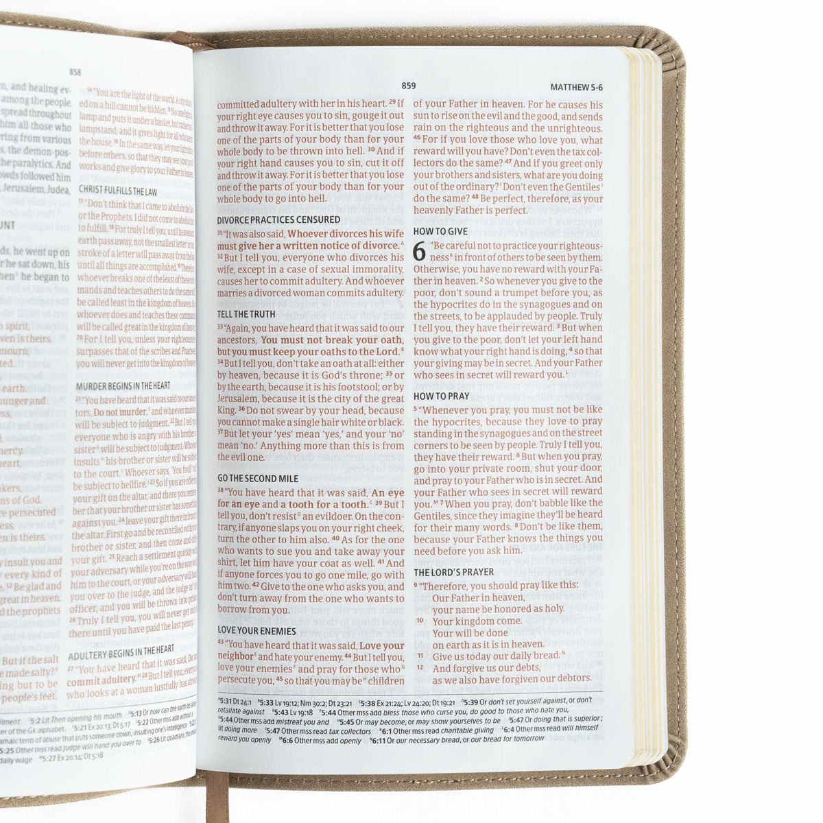 Personal Size Bible (CSB) - Digital Study Edition by Broadman and Holman, product view 5