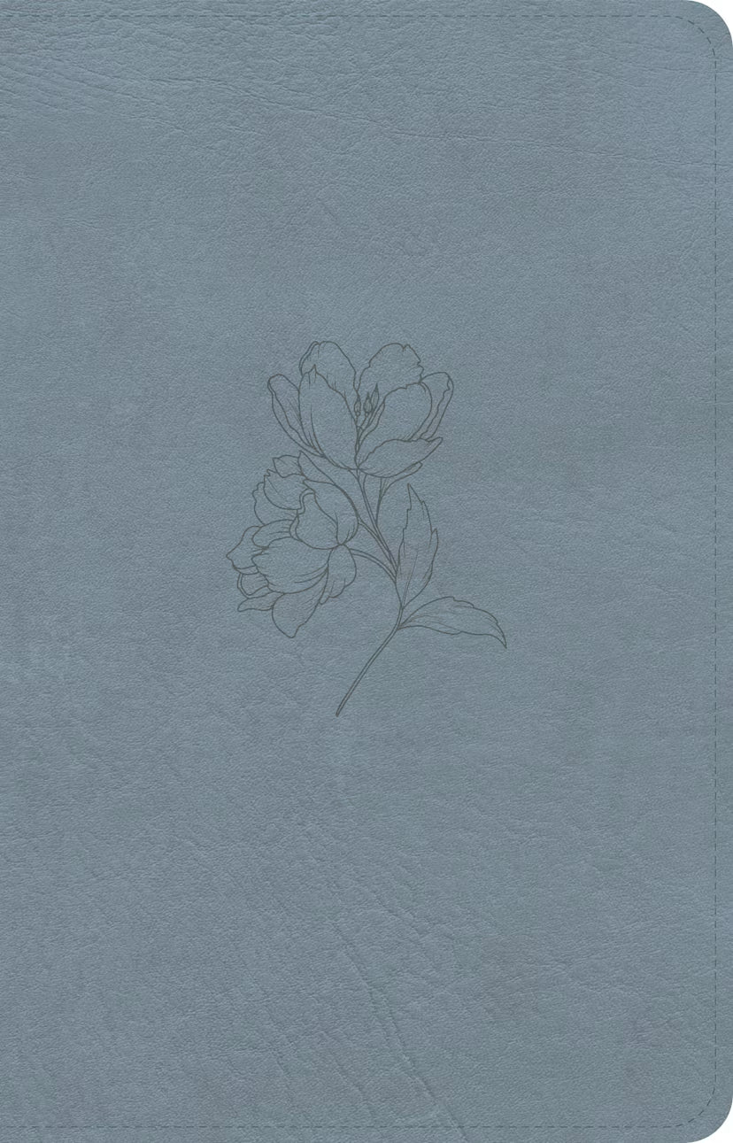 CSB Personal Size Bible, Digital Study Edition