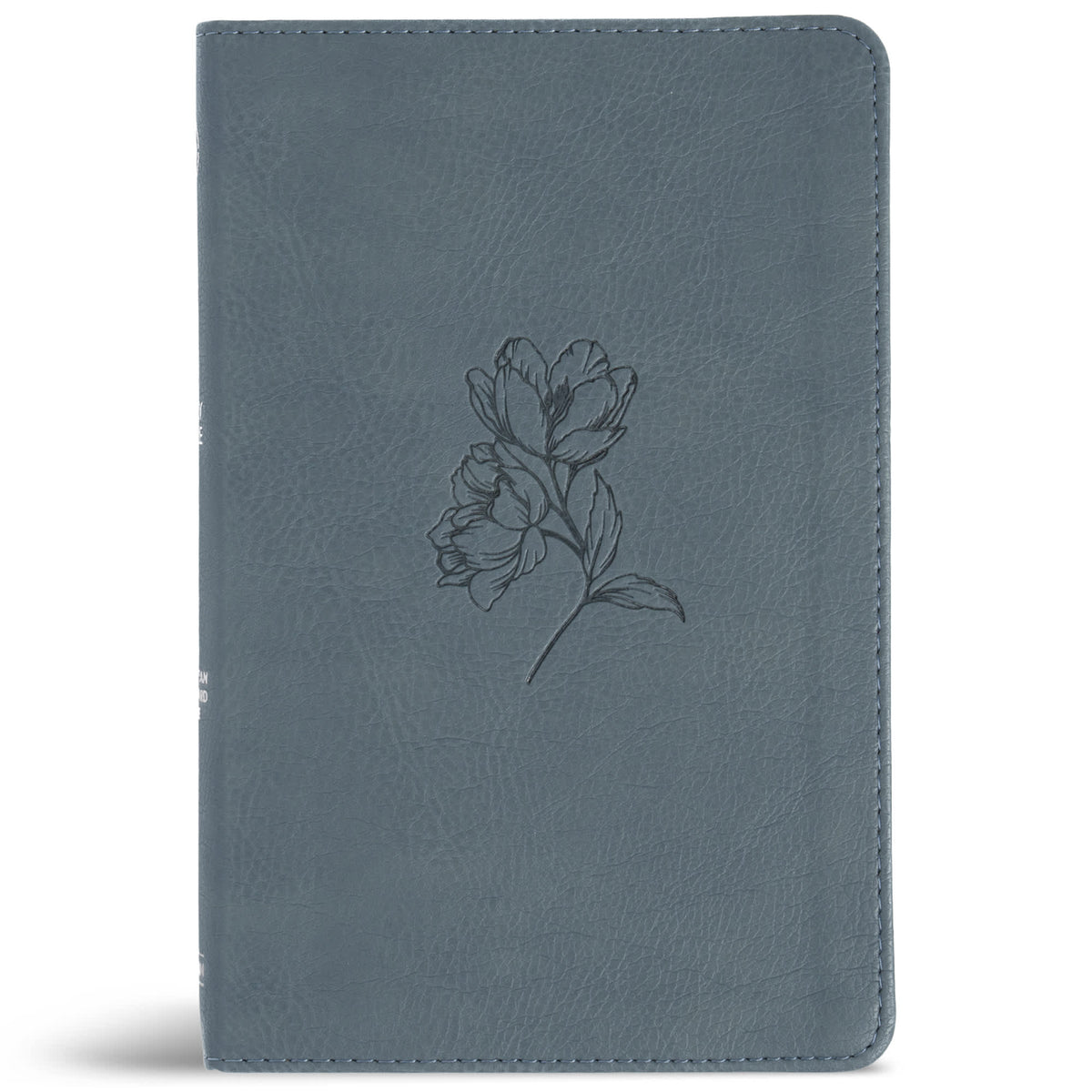 Personal Size Bible (CSB) - Digital Study Edition by Broadman and Holman, product view 3