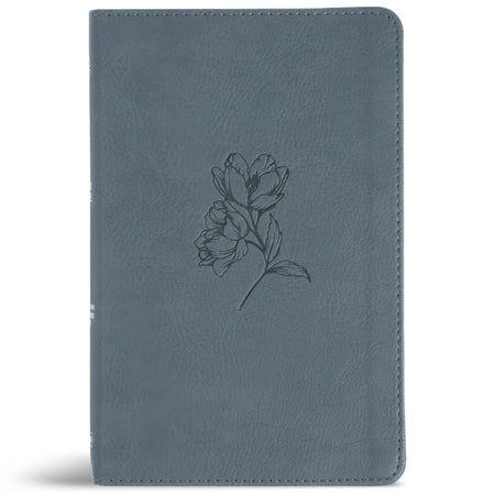 Personal Size Bible (CSB) - Digital Study Edition by Broadman and Holman, product view 3