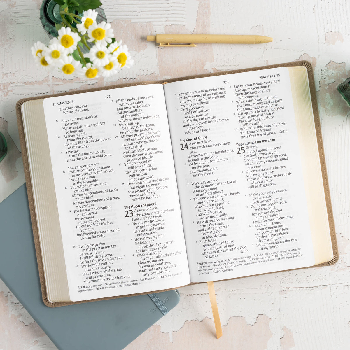 Personal Size Giant Print Bible (CSB) - Digital Study Edition by Broadman and Holman, product view 8