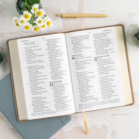 Personal Size Giant Print Bible (CSB) - Digital Study Edition by Broadman and Holman, product view 8