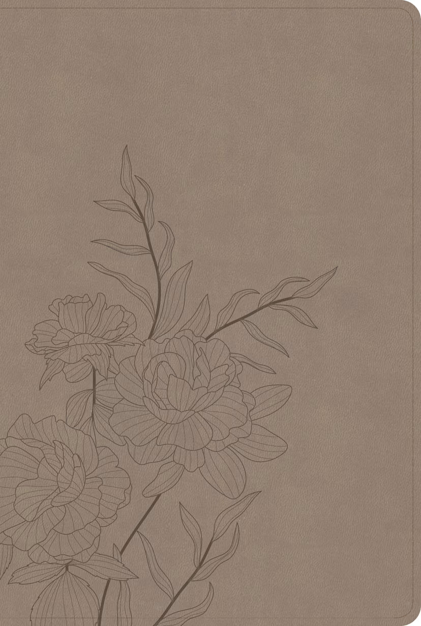 CSB Large Print Thinline Bible