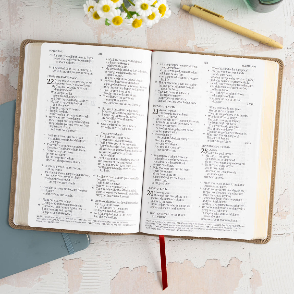 Large Print Thinline Bible (CSB) - Digital Study Edition by Broadman and Holman, product view 4