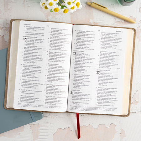 Large Print Thinline Bible (CSB) - Digital Study Edition by Broadman and Holman, product view 4