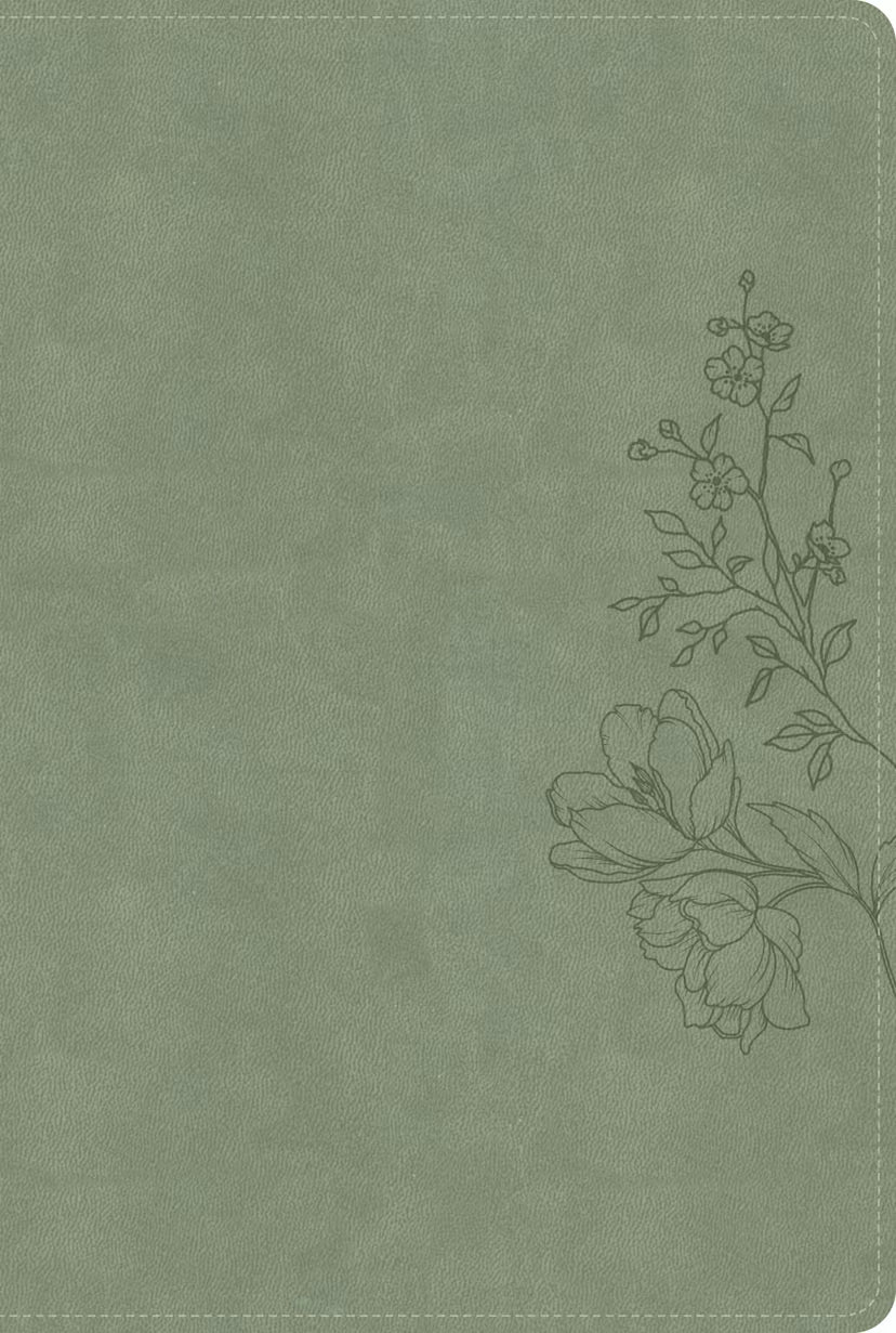 CSB Large Print Thinline Bible