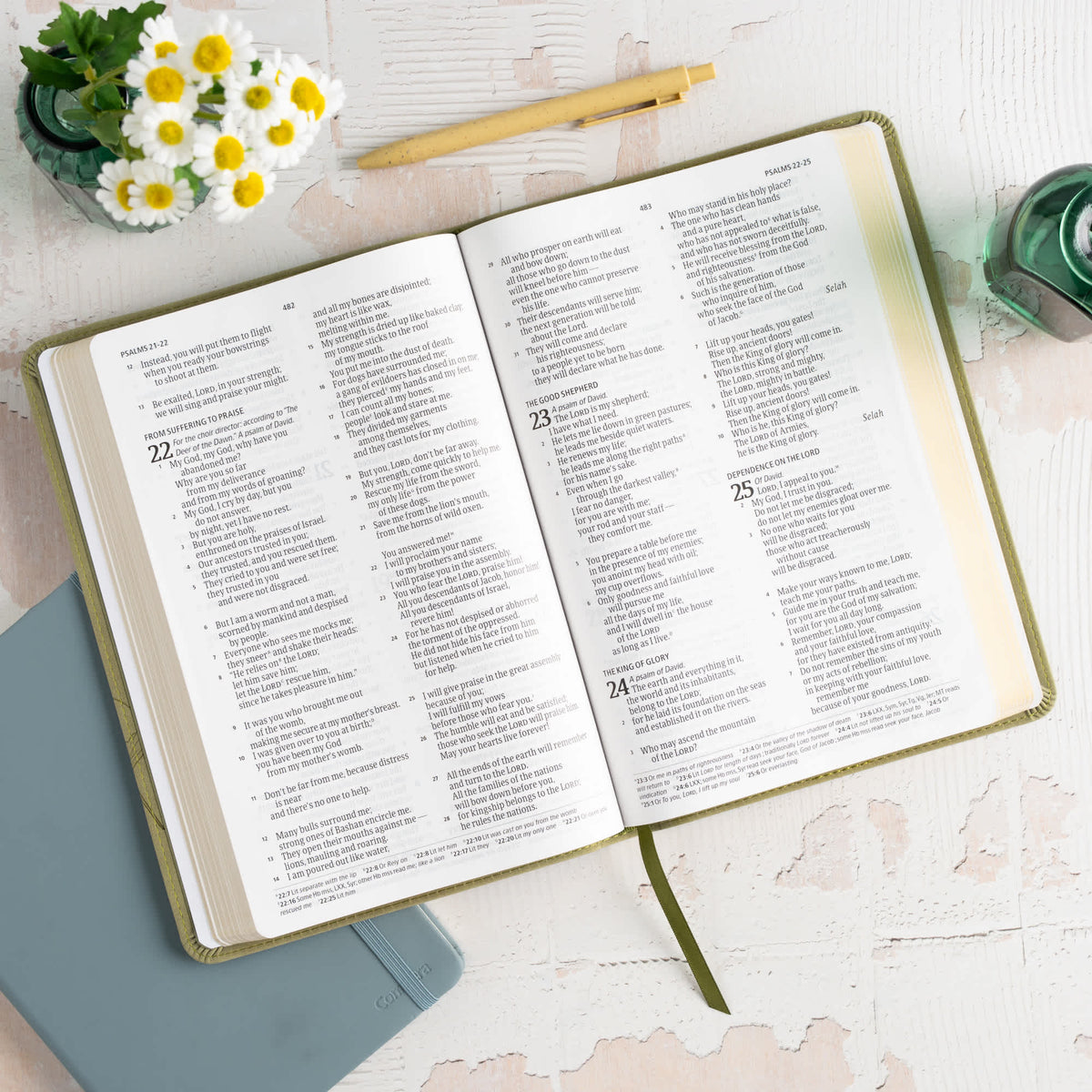 Large Print Thinline Bible (CSB) - Digital Study Edition by Broadman and Holman, product view 5