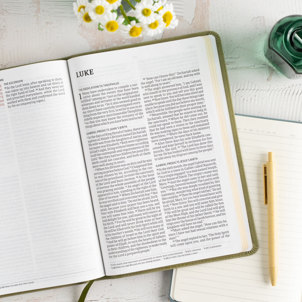Large Print Thinline Bible (CSB) - Digital Study Edition by Broadman and Holman, product view 8