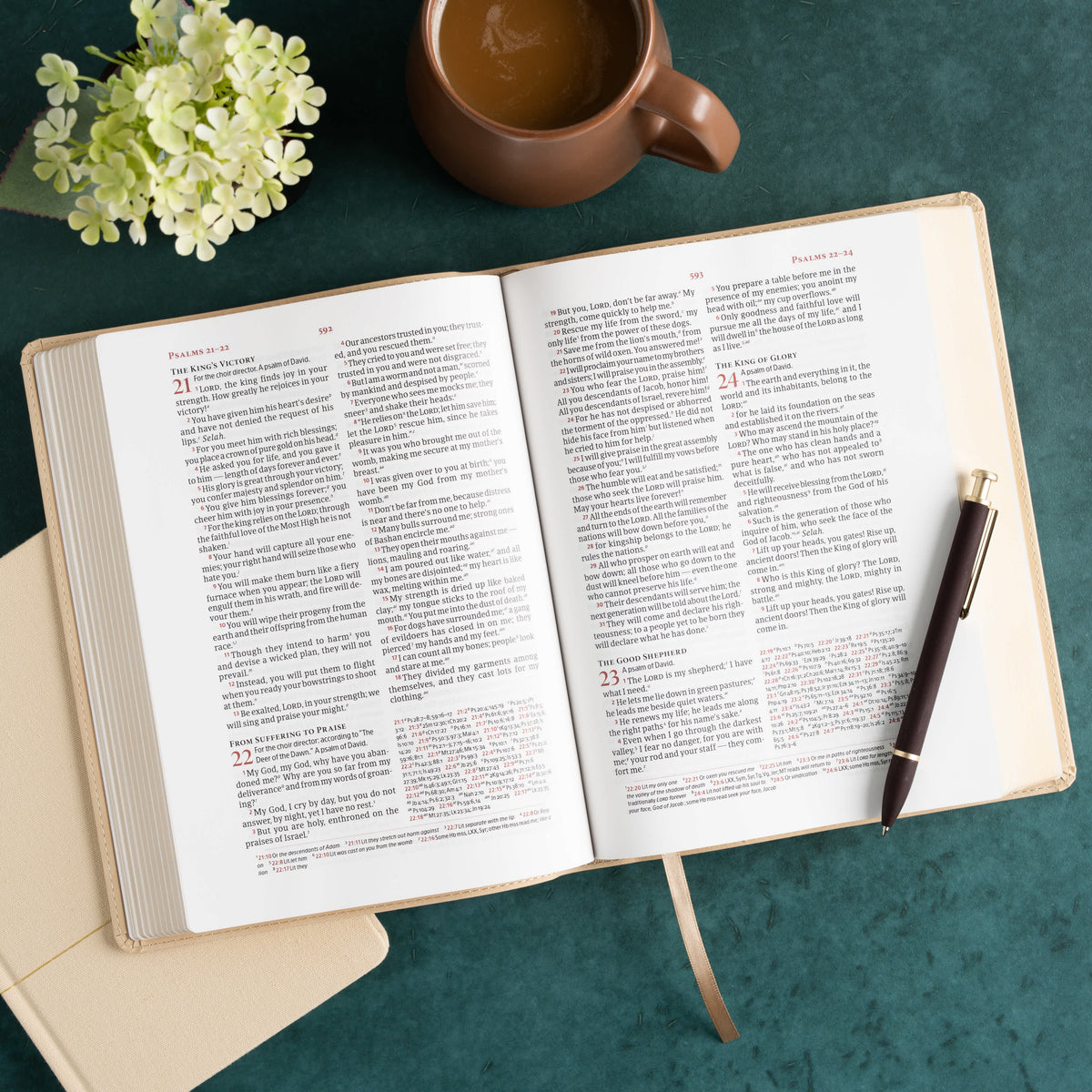 Verse-by-Verse Reference Bible (CSB) - Digital Study Edition by Broadman and Holman, product view 5