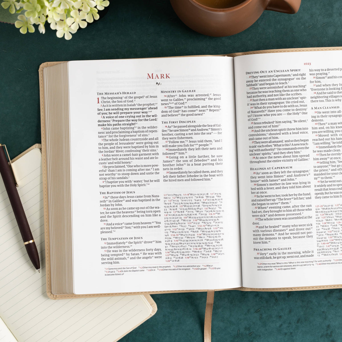 Verse-by-Verse Reference Bible (CSB) - Digital Study Edition by Broadman and Holman, product view 7