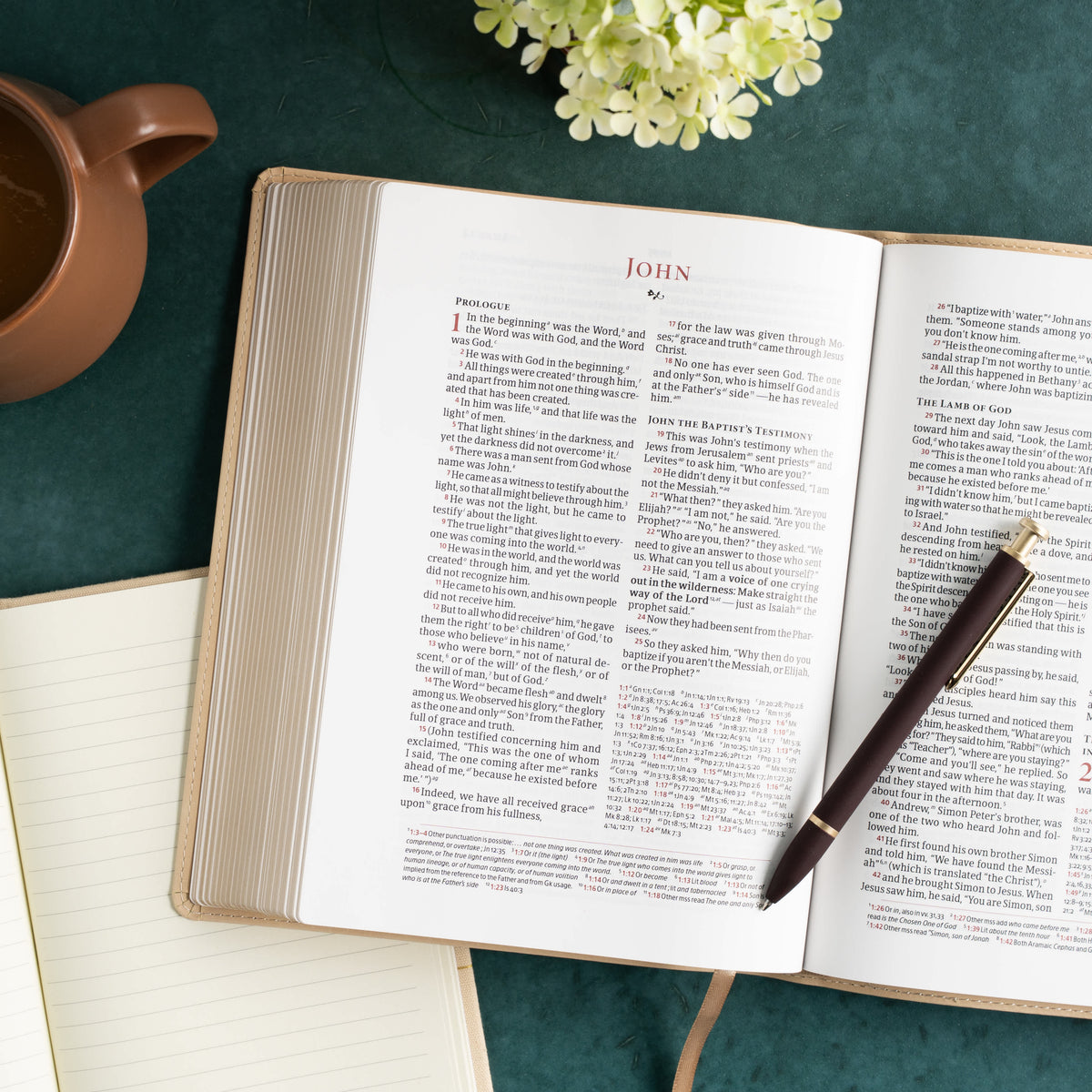 Verse-by-Verse Reference Bible (CSB) - Digital Study Edition by Broadman and Holman, product view 9