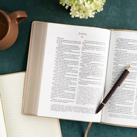 Verse-by-Verse Reference Bible (CSB) - Digital Study Edition by Broadman and Holman, product view 9