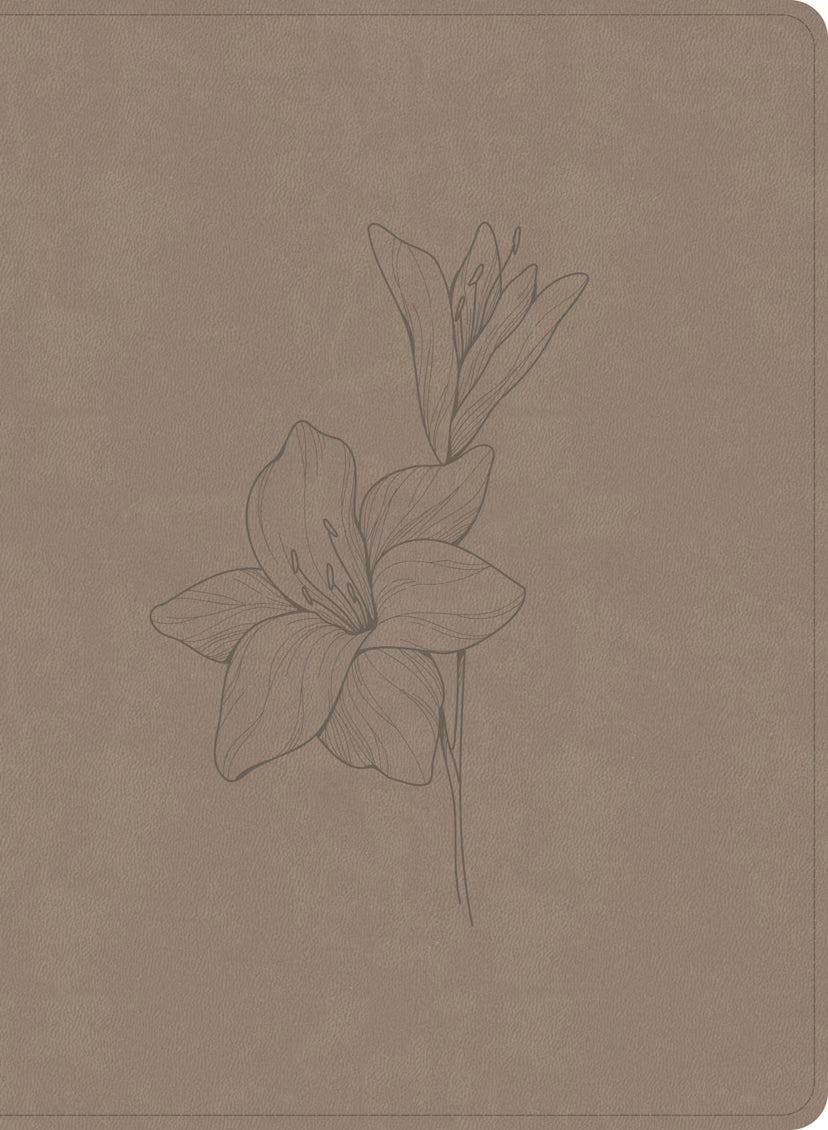 CSB Verse-by-Verse Reference Bible, Digital Study Edition