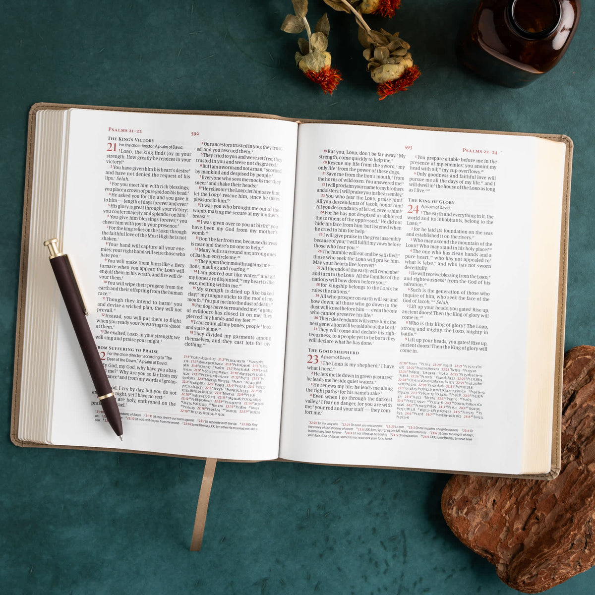 Verse-by-Verse Reference Bible (CSB) - Digital Study Edition by Broadman and Holman, product view 6