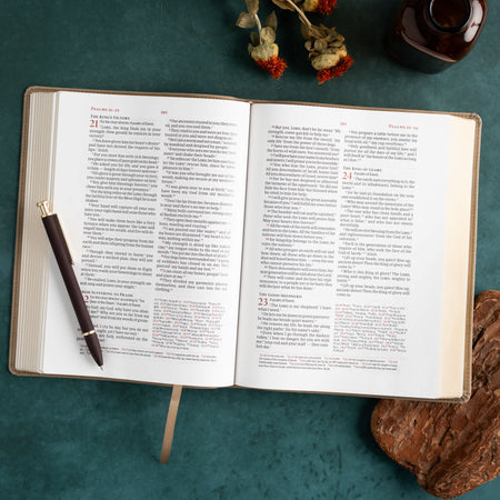 Verse-by-Verse Reference Bible (CSB) - Digital Study Edition by Broadman and Holman, product view 6