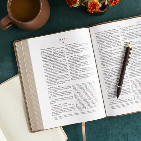 Verse-by-Verse Reference Bible (CSB) - Digital Study Edition by Broadman and Holman, product view 8