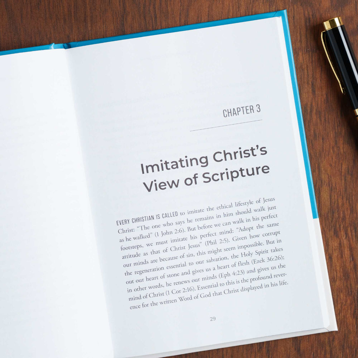 Biblical Authority by Broadman and Holman, product view 3