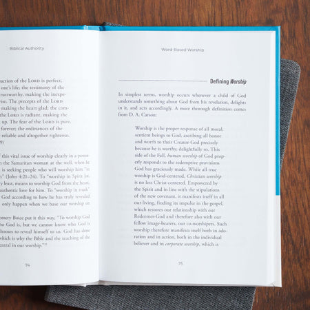 Biblical Authority by Broadman and Holman, product view 4