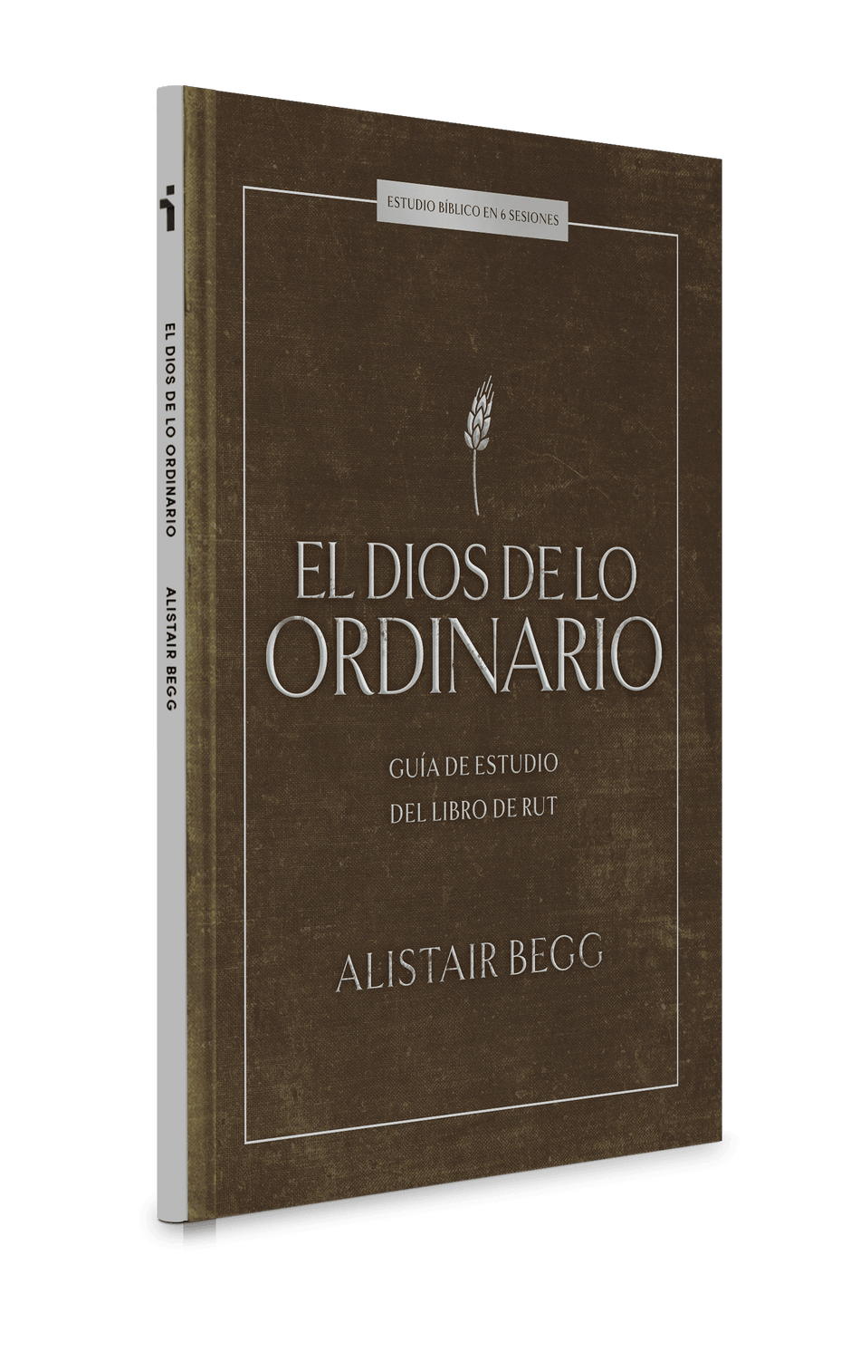 El Dios de lo ordinario: Estudio bíblico: Guía de estudio del libro de Rut by Broadman and Holman, product view 2