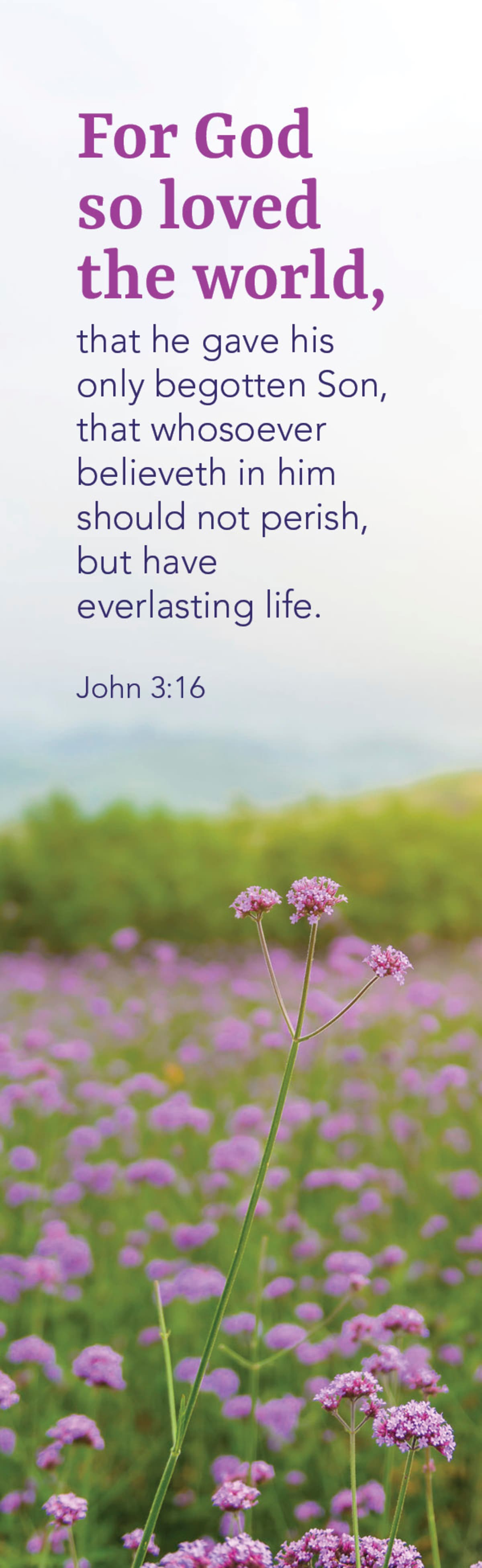 Inspirational Bookmark: For God (Package of 25): John 3:16 (KJV) by Broadman and Holman
