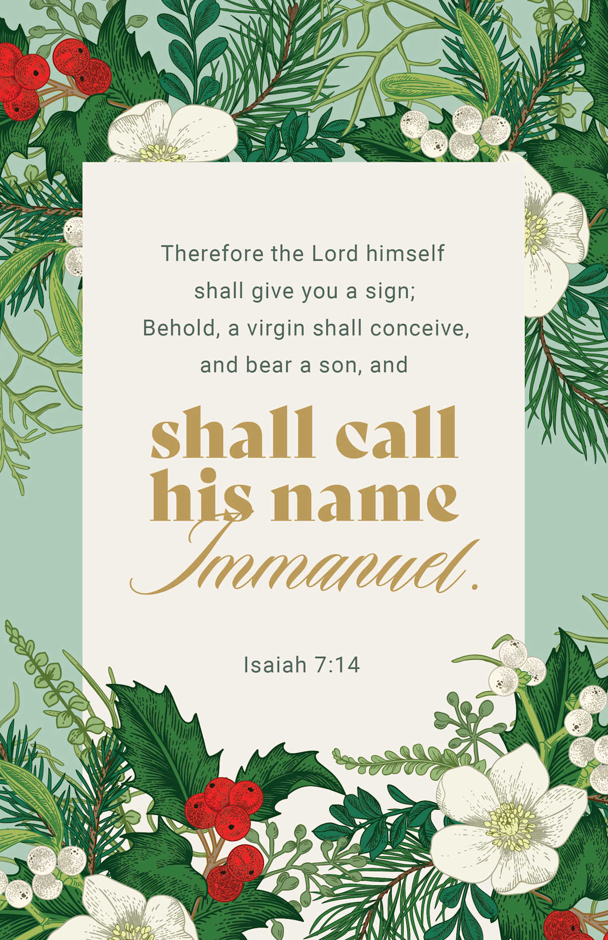 Christmas Bulletin: Shall Call (Package of 100): Isaiah 7:14 (KJV) by Broadman and Holman