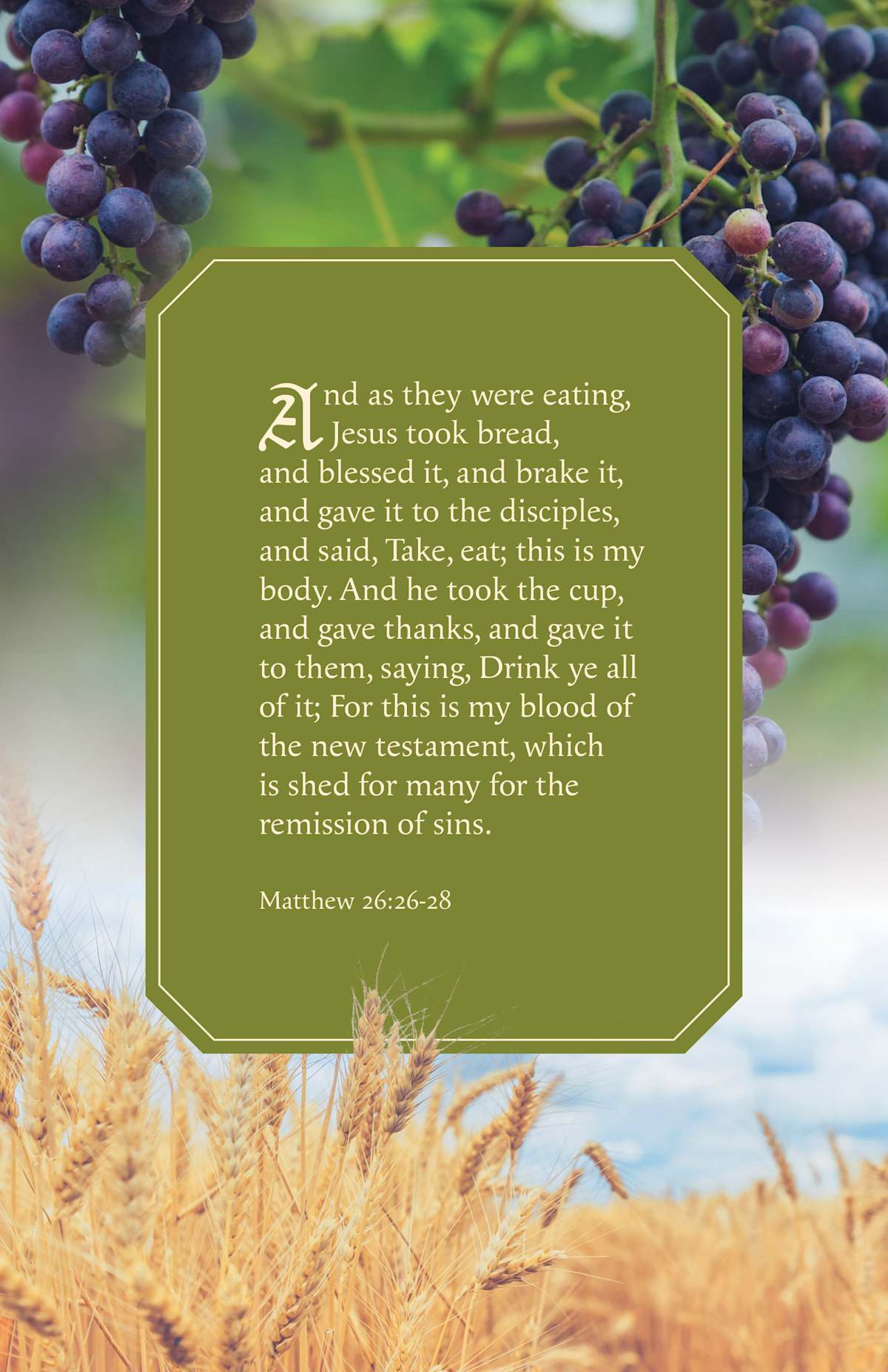 Communion Bulletin: Gave Thanks (Package of 100): Matthew 26:26-28 (KJV) by Broadman and Holman