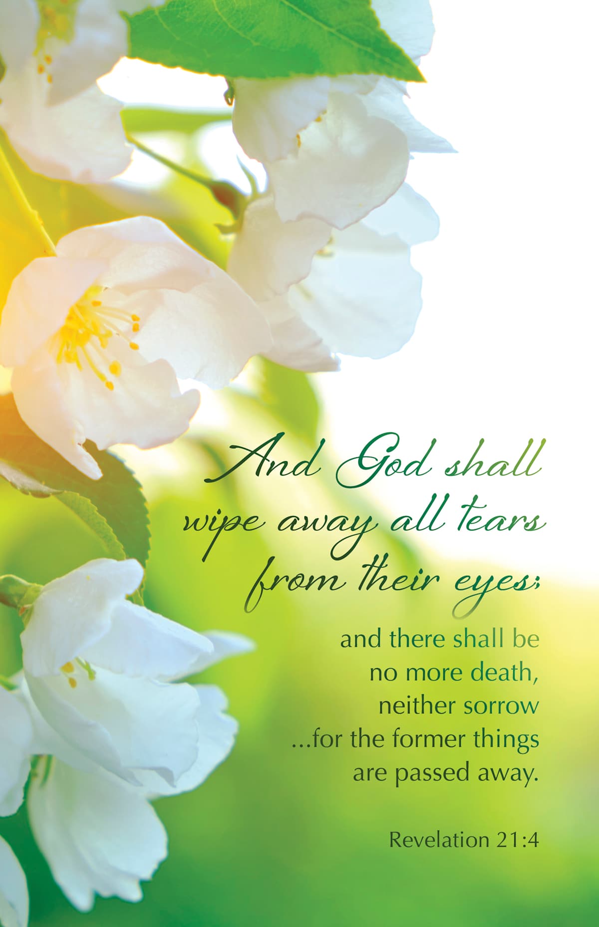 Funeral Bulletin: And God Shall (Package of 100): Revelation 21:4 (KJV) by Broadman and Holman
