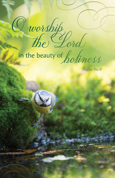 General Worship Bulletin: In the Beauty (Package of 100): Psalm 96:9 (KJV) by Broadman and Holman
