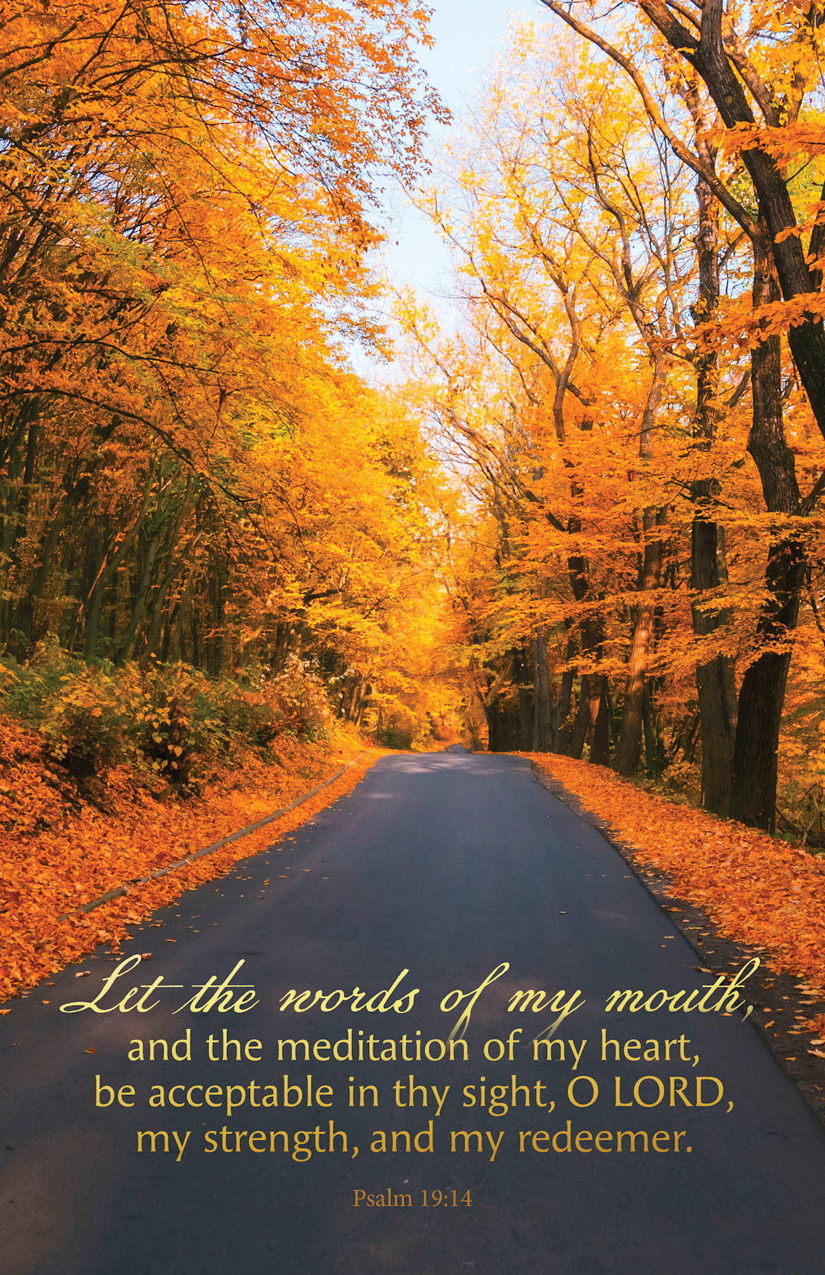 General Worship Bulletin: In Thy Sight (Package of 100): Psalm 19:14 (KJV) by Broadman and Holman