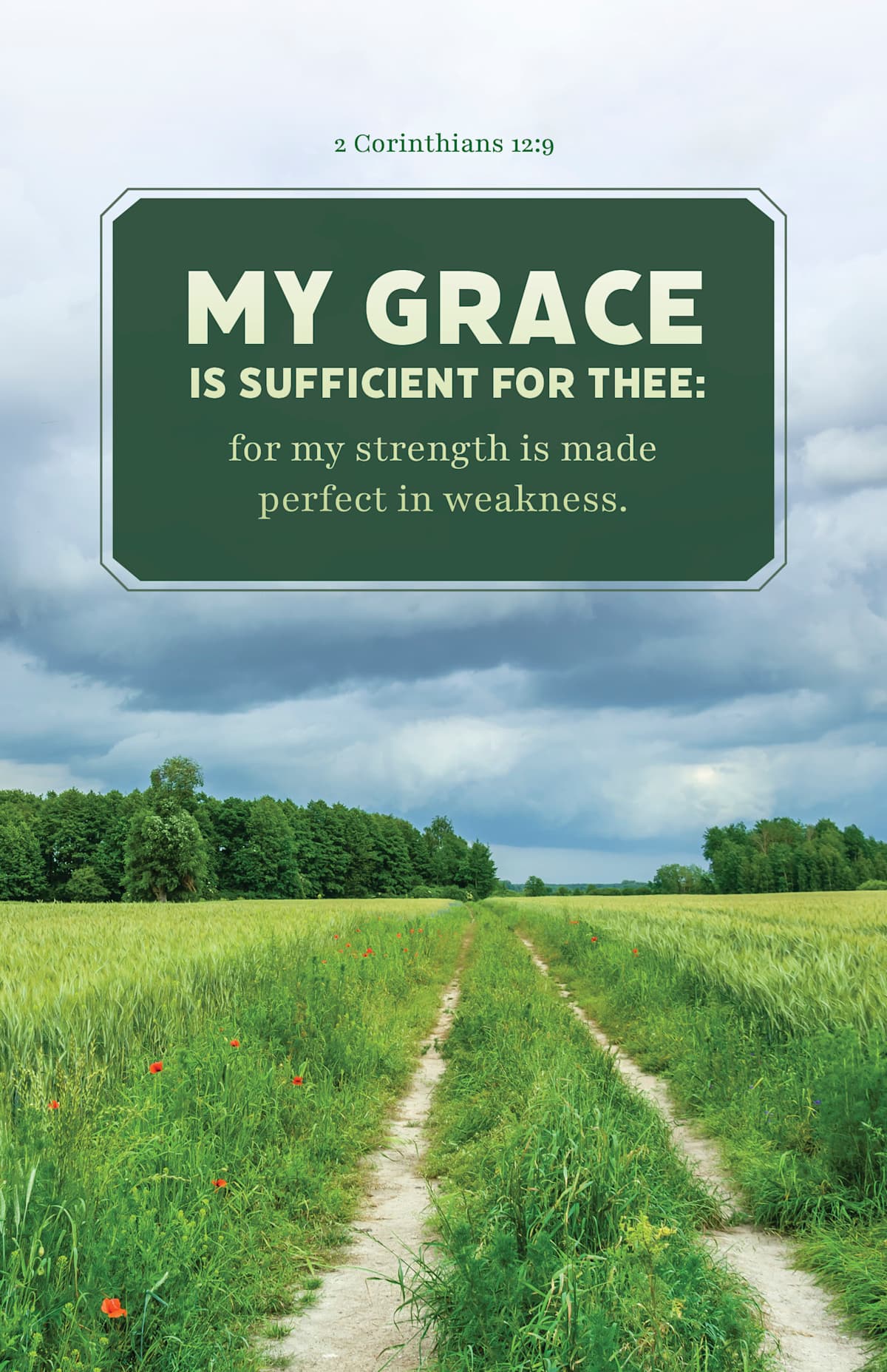 General Worship Bulletin: My Strength (Package of 100): 2 Corinthians 12:9 (KJV) by Broadman and Holman