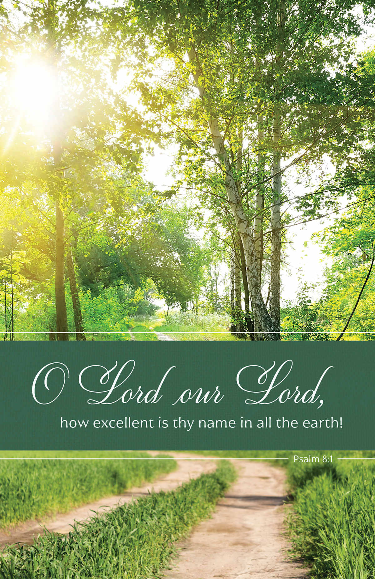 General Worship Bulletin: Our Lord (Package of 100): Psalm 8:1 (KJV) (Pack of 100) by Broadman and Holman