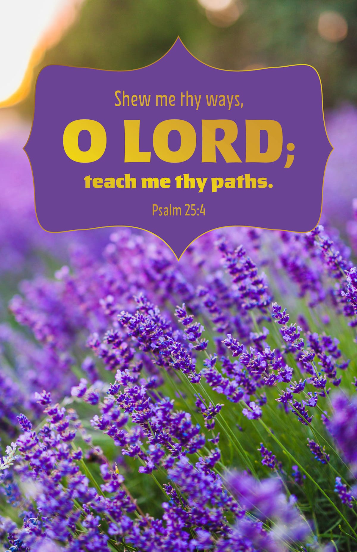 Legacy Bulletin: Teach Me (Package of 100): Psalm 25:4 (KJV) by Broadman and Holman