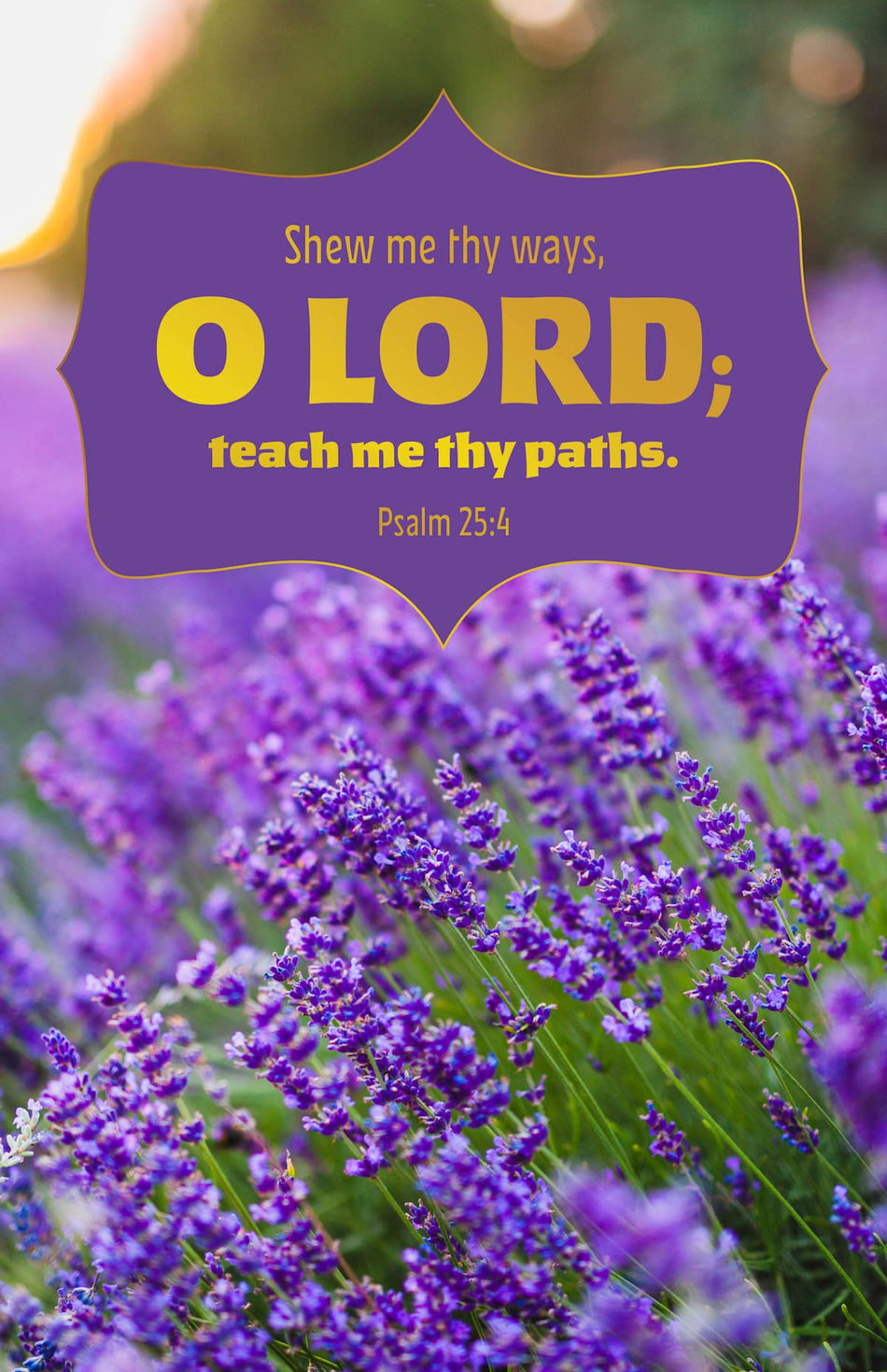 Legacy Bulletin: Teach Me (Package of 100): Psalm 25:4 (KJV) by Broadman and Holman