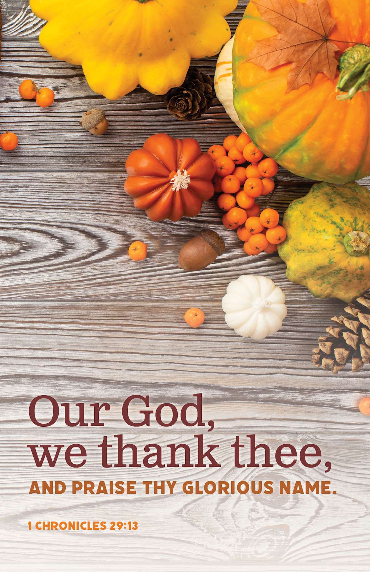 Thanksgiving Bulletin: We Thank Thee (Package of 100): 1 Chronicles 29:13 (KJV) by Broadman and Holman