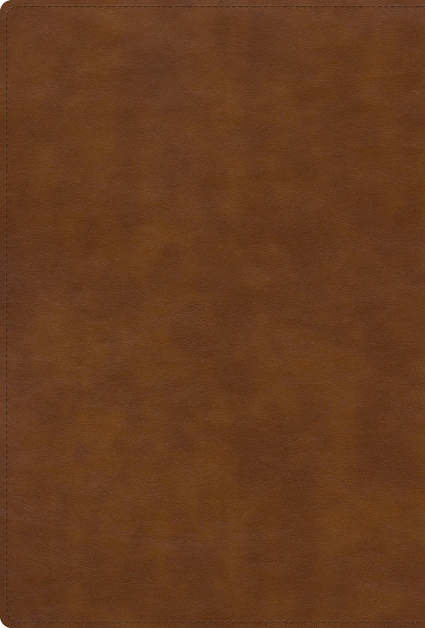 RVR 1960 Biblia letra grande, tamaño manual, edición especial, marrón rústico, símil piel