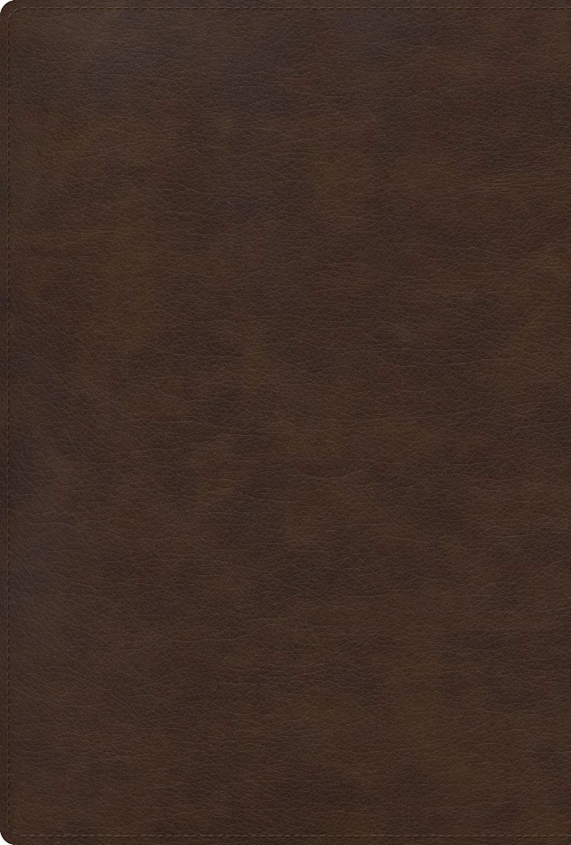 RVR 1960 Biblia letra grande, tamaño manual, edición especial, café tierra, símil piel